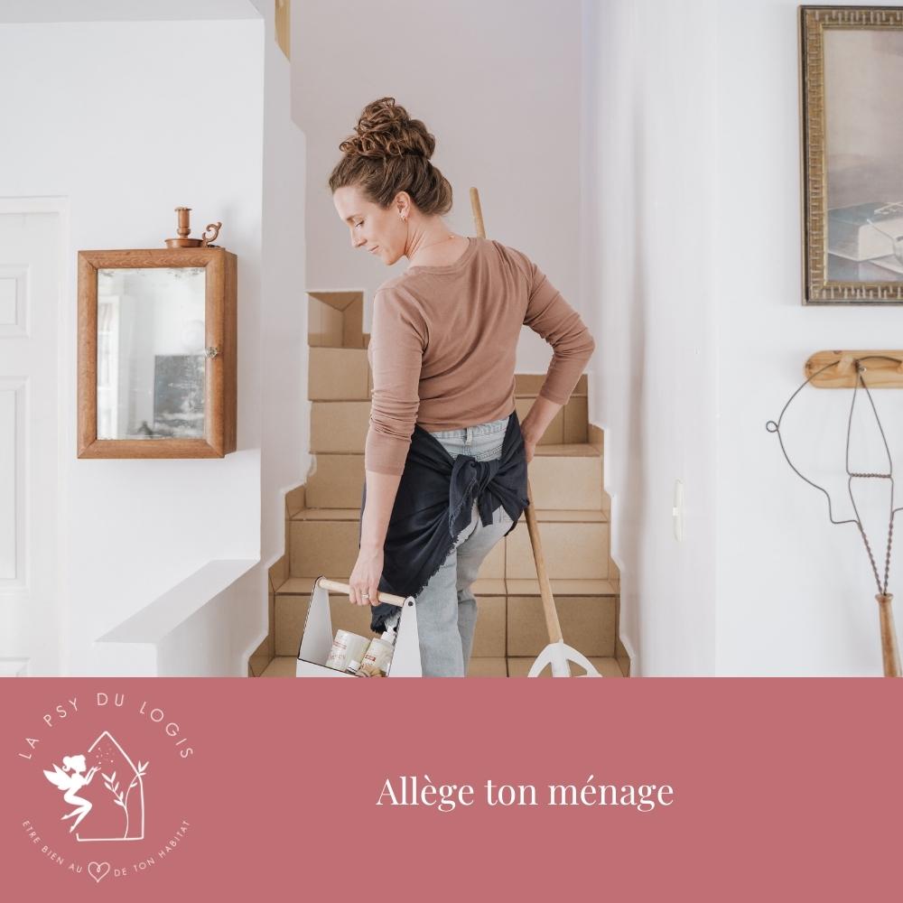 allege-ton-menage-woo