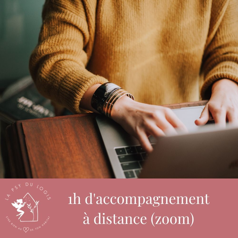 programme-en-autonomie-1-heure-accompagnement-à-distance-zoom-organisation-bien-etre-conseils-coaching-home-organizer-lapsydulogis