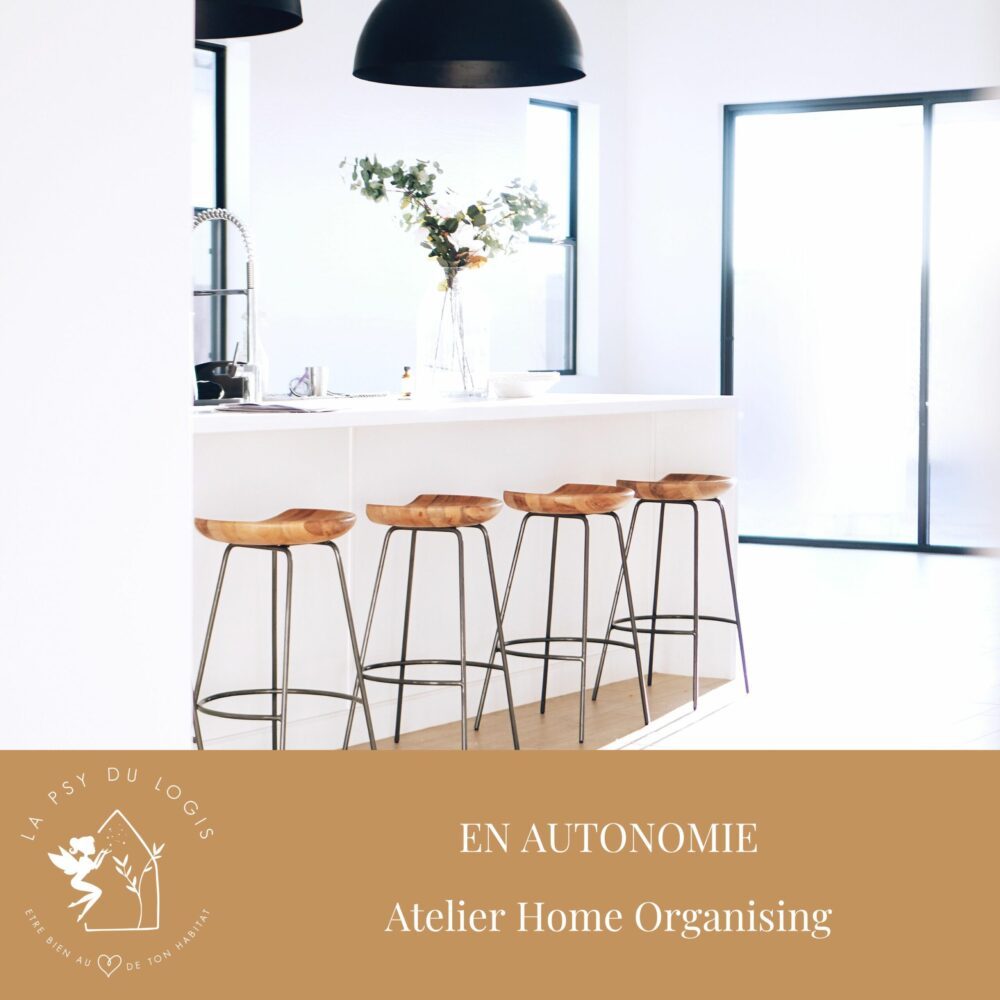 atelier-home-organising-en-autonomie-coaching-tri-rangement-desencombrement-lapsydulogis