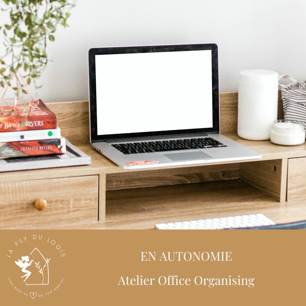 atelier-office-organising-en-autonomie-coaching-bien-etre-ann-lapsydulogis