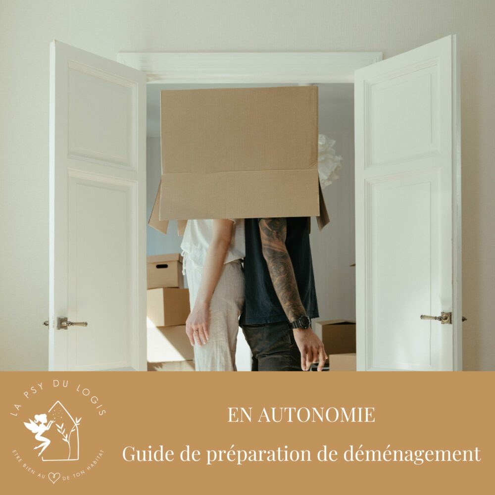 guide-preparation-demenagement-en-autonomie-organisation-tri-home-organizing-lapsylogis