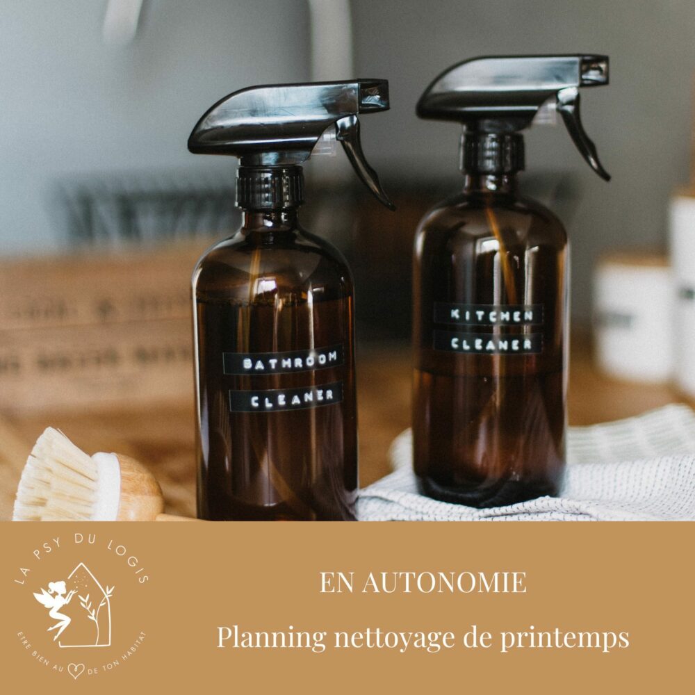 planning-nettoyage-printemps-ann-lapsydulogis