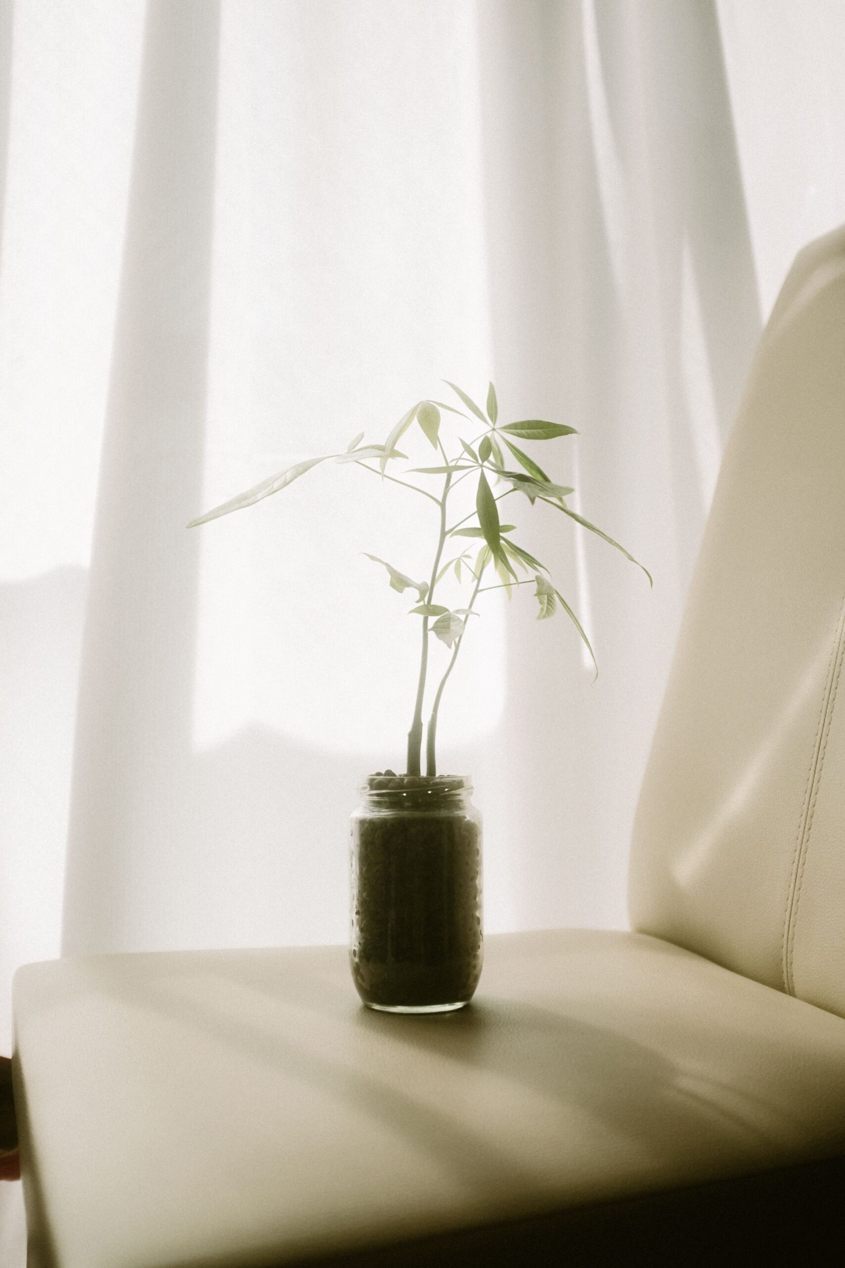 Coaching Individuel Décodage De Ton Intérieur Psychologie De L'Habitat